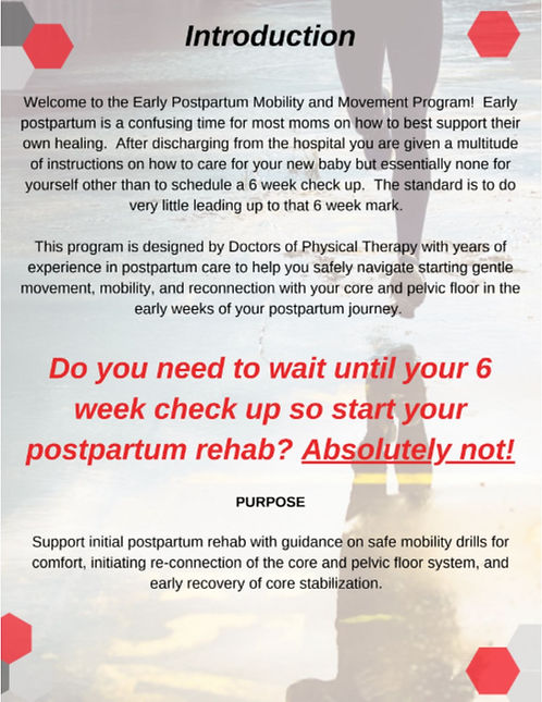 6 Week Early Postpartum Mobility and Movement Program - Image 2